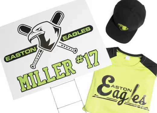 CCut-SgnVinyl-Eagles