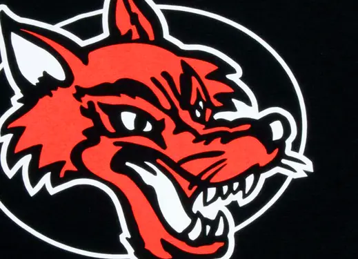 CCut-SuprtFlmLite-Wolf