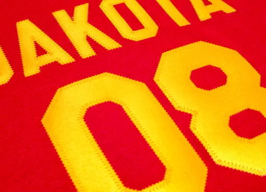 CLN-SimStitch-Dakota08