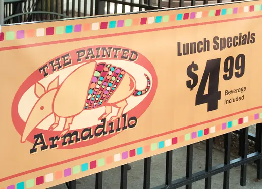 CPzNON-Bnnr-Armadillo