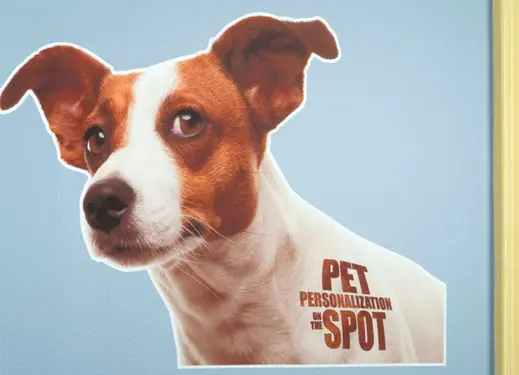 CPzNON-WllGrphc-Spot